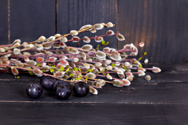 Similar image 13011827