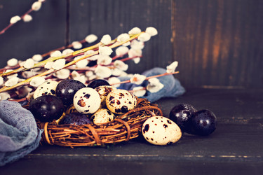 Similar image 13023302