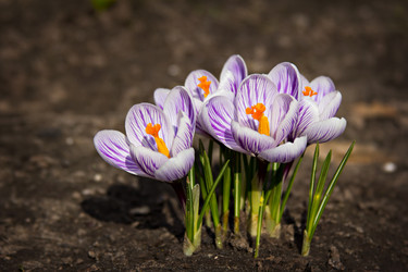 Similar image 13011093