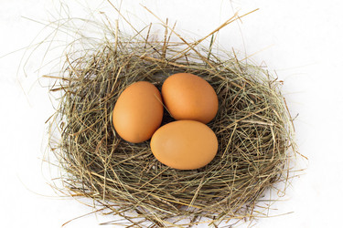 Similar image 13009481