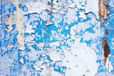 Similar image 13009522