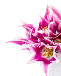 Similar image 13009523