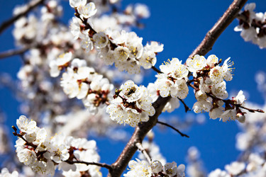 Similar image 13009297