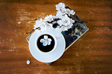 Similar image 13009635