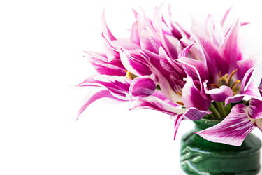 Similar image 13009637