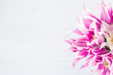 Similar image 13009655