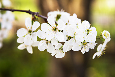 Similar image 13009657