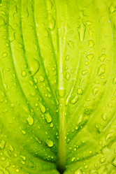 Similar image 13009381