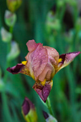 Similar image 13009419