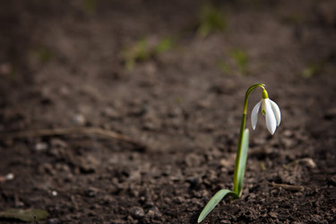 Similar image 13009785