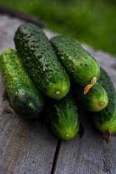 Similar image 13009797