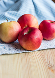 Similar image 13009799