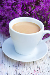 Similar image 13009820