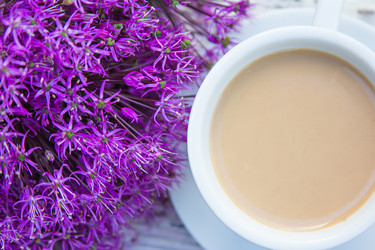 Similar image 13009862