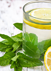 Similar image 13009546