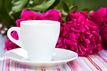 Similar image 13010159