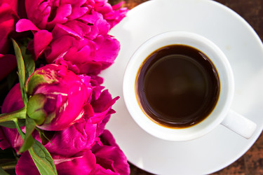 Similar image 13010161