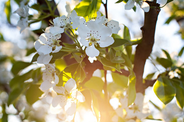 Similar image 13010281