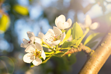 Similar image 13010320