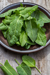 Similar image 13010383