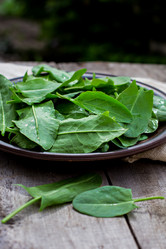 Similar image 13010104