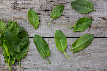 Similar image 13010144