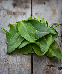 Similar image 13010205