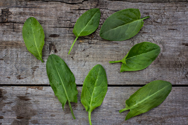 Similar image 13010859