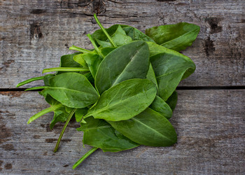 Similar image 13010876