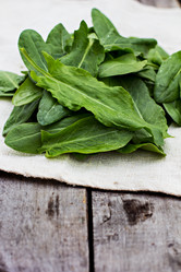 Similar image 13010896