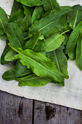 Similar image 13010916