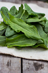 Similar image 13010956