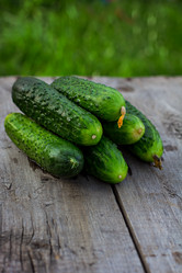 Similar image 13011012