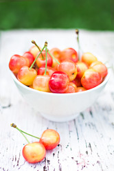 Similar image 13011014