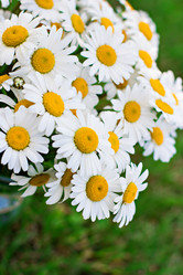 Similar image 13011078