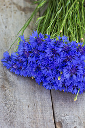 Similar image 13011096