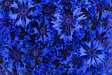 Similar image 13011098