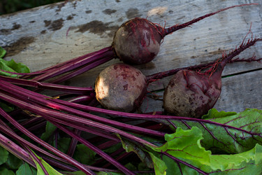 Similar image 13030497