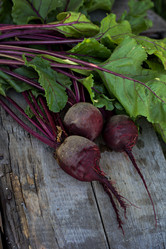 Similar image 13030501