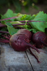 Similar image 13030524