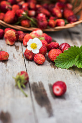 Similar image 13009301