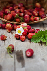 Similar image 13009641