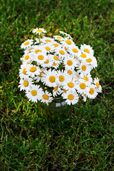 Similar image 13009385