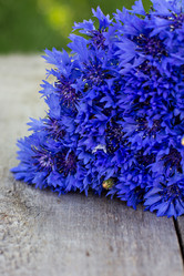 Similar image 13009386