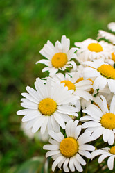 Similar image 13009388