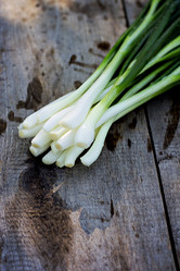 Similar image 13009389