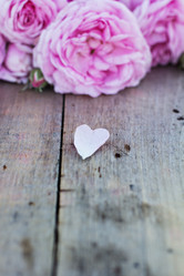 Similar image 13009800