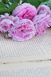 Similar image 13009805