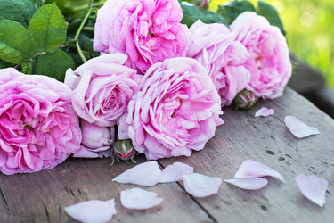 Similar image 13009504