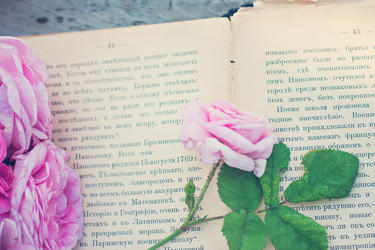 Similar image 13009822